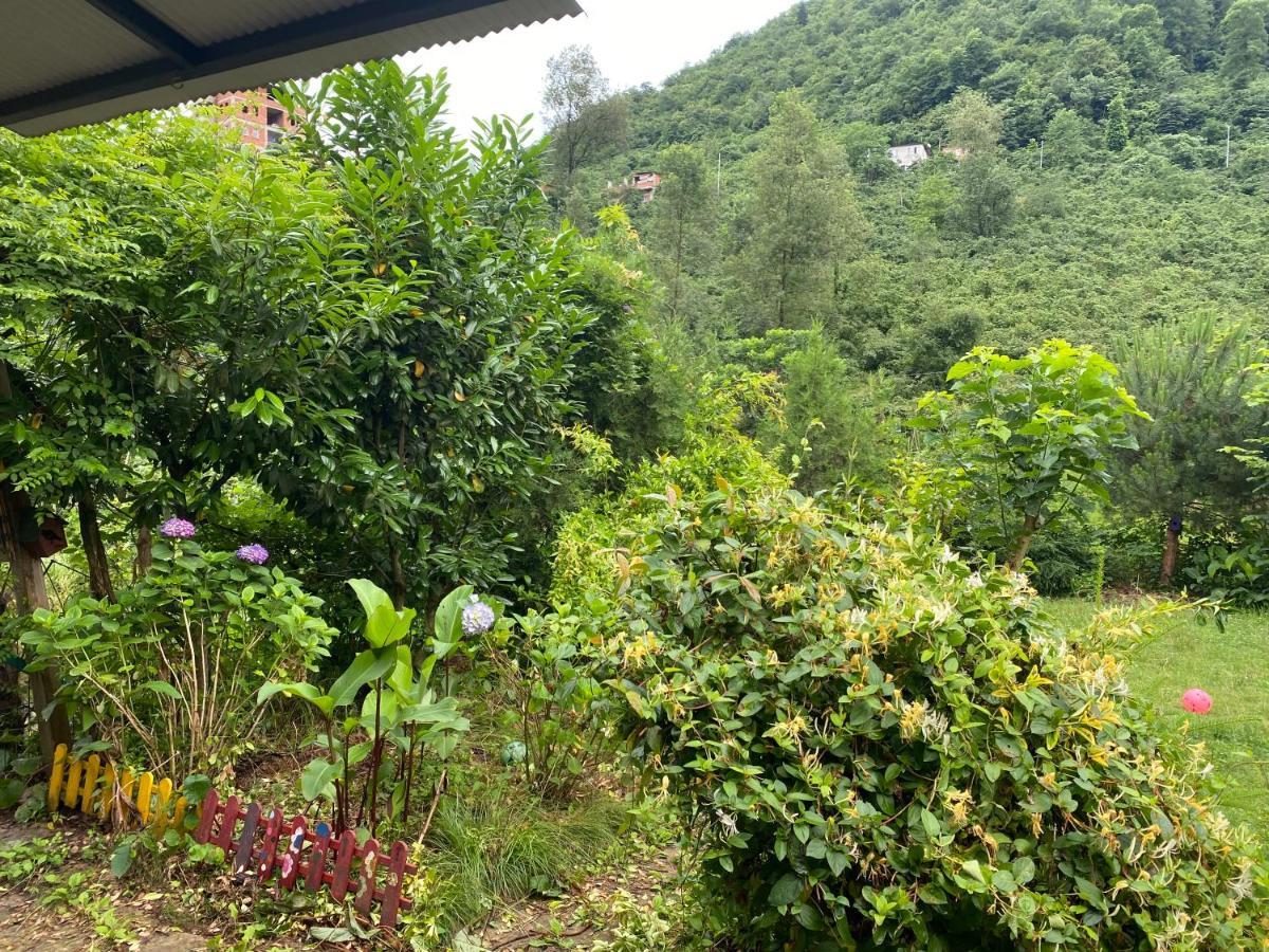 Doga Villa Yomra 外观 照片